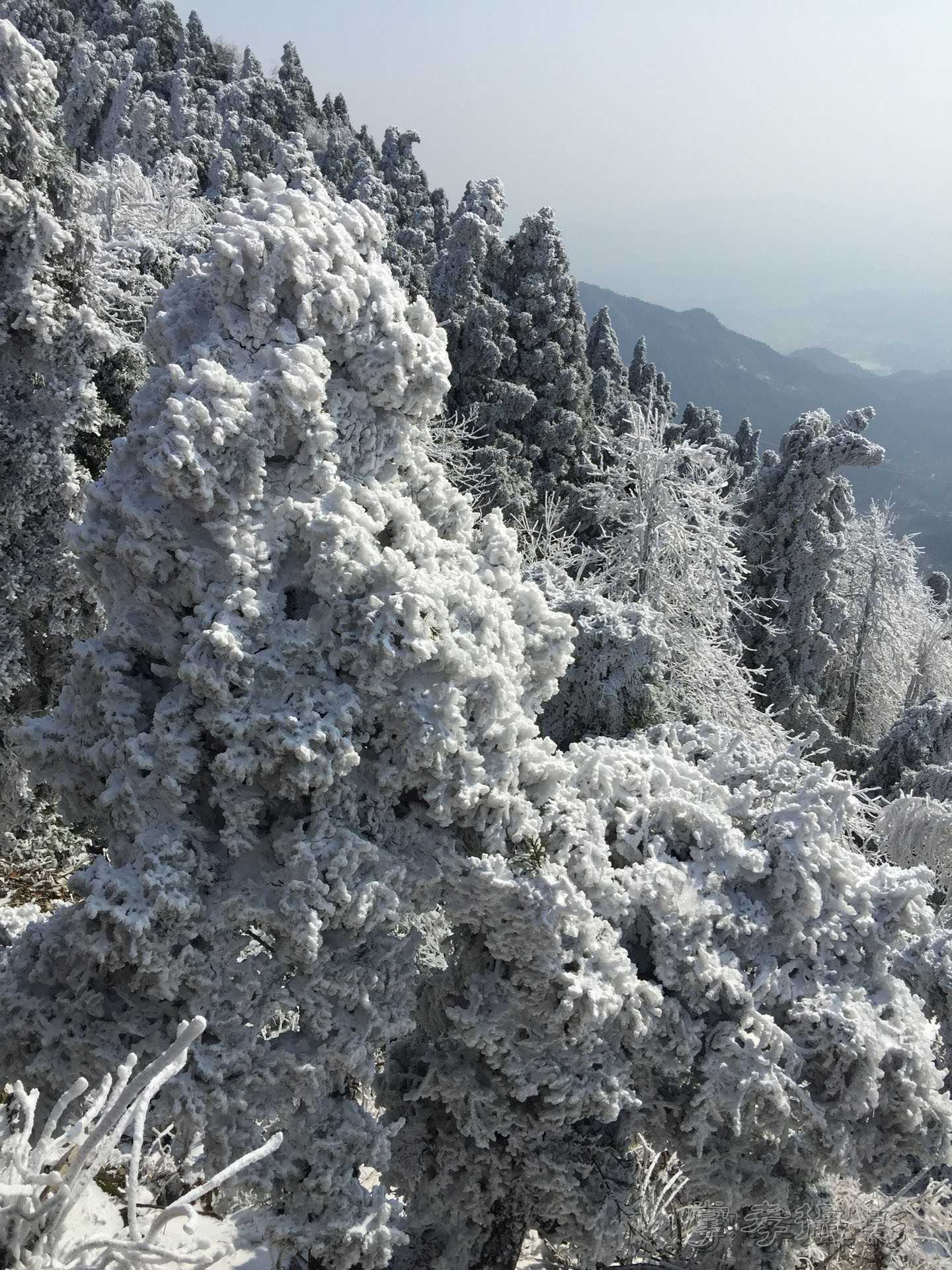 2016������ɽ��ѩ (31).jpg