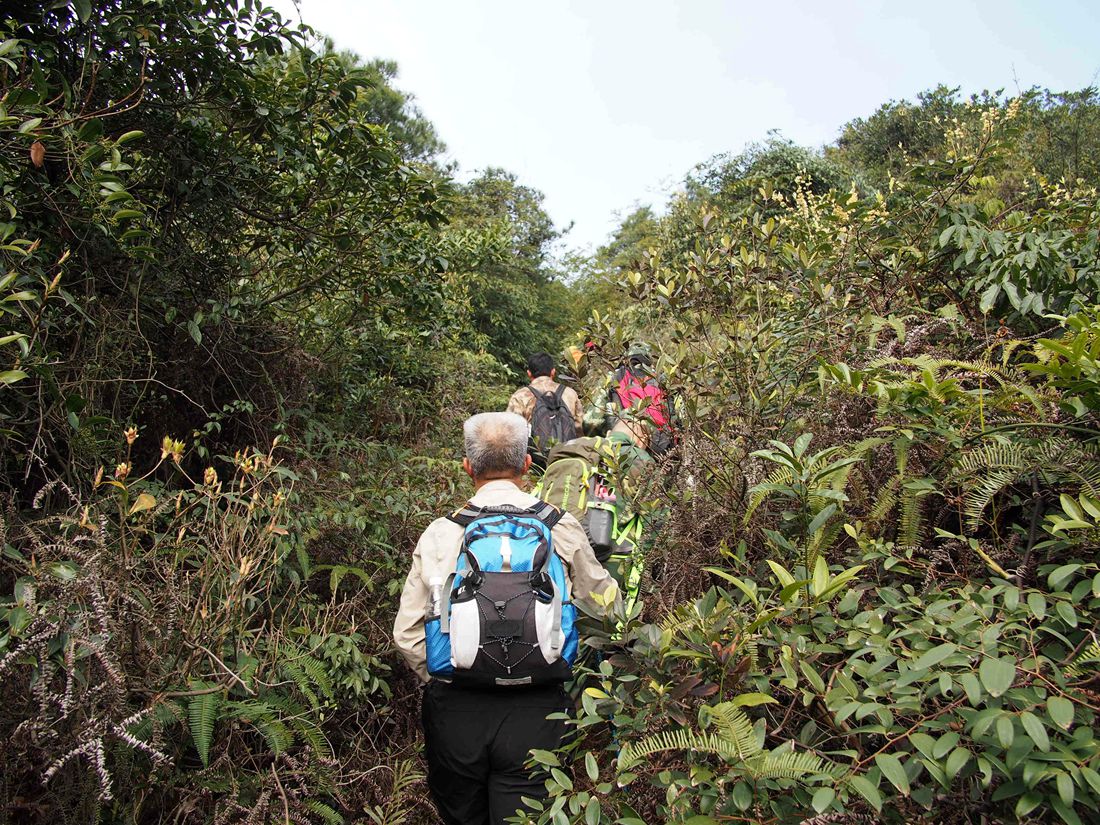 ·�ߵĵ��ӻ�