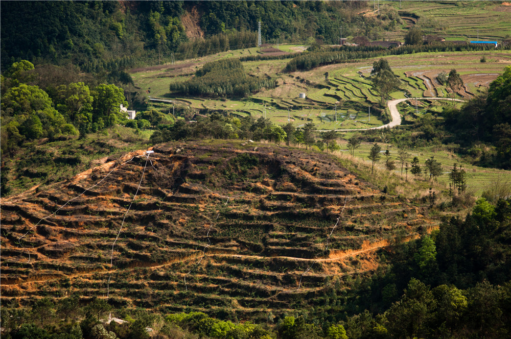 �е��ε�����