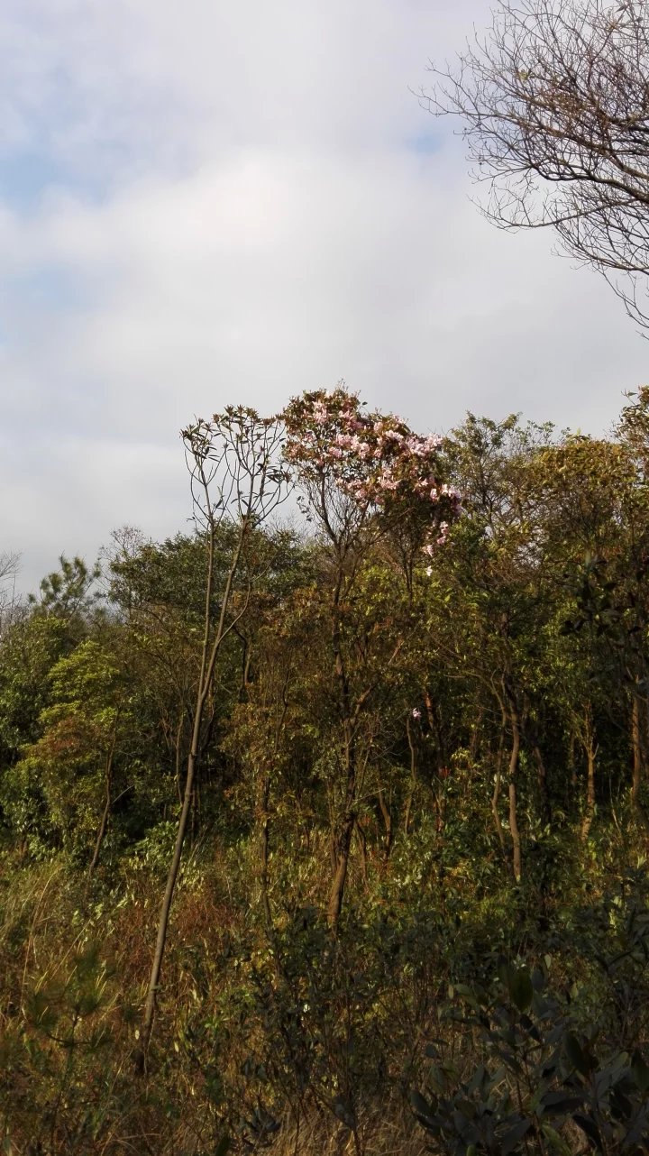 �ƽ��ž���