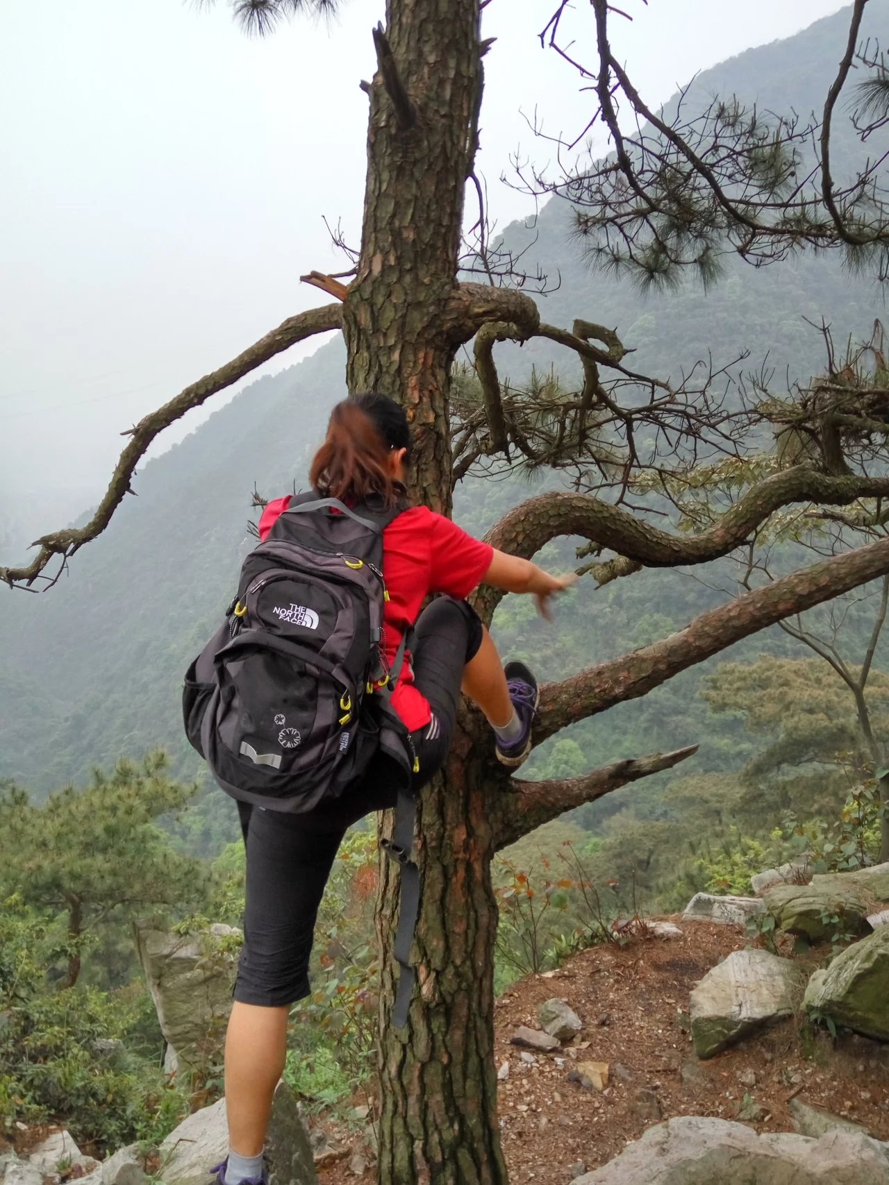 dFgBAAAAAAAA&amp;bo=AAWrBjAMQBAFAOc!&amp;rf=viewer_4 (3).jpg