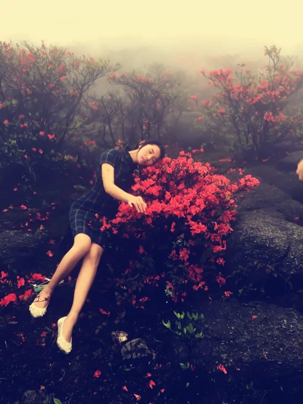 2015����������Ĵ��Ӷ�