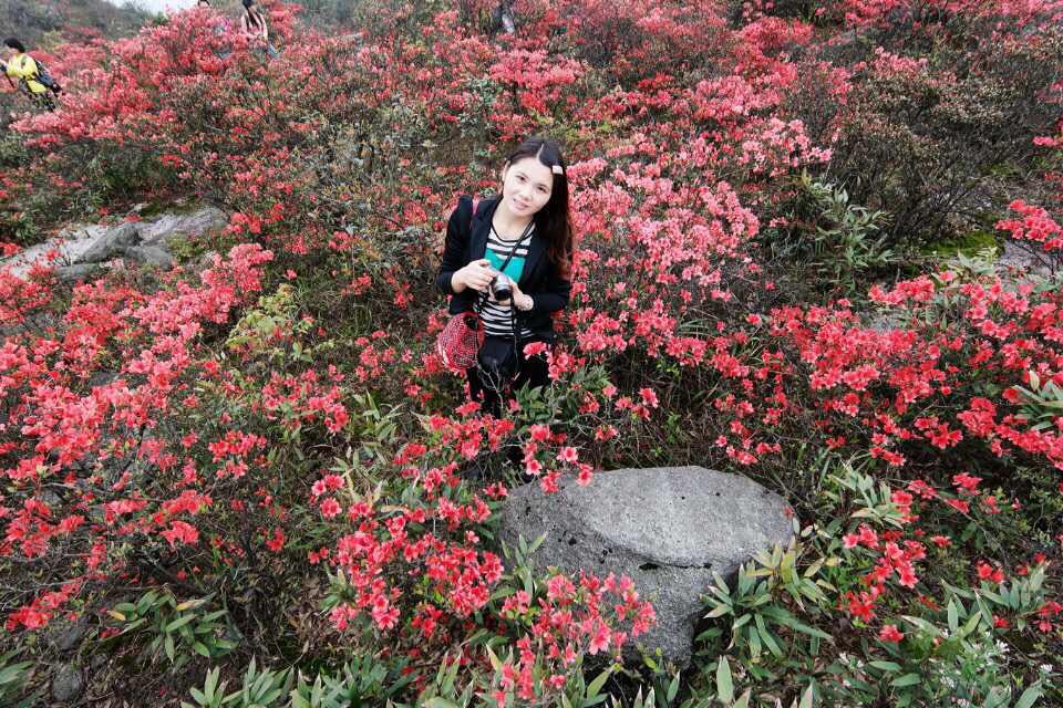 2014��4�µĴ��Ӷ�