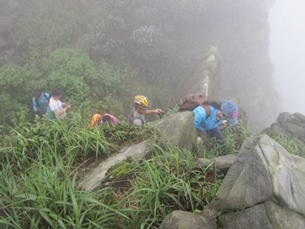 �����ƶ�����4