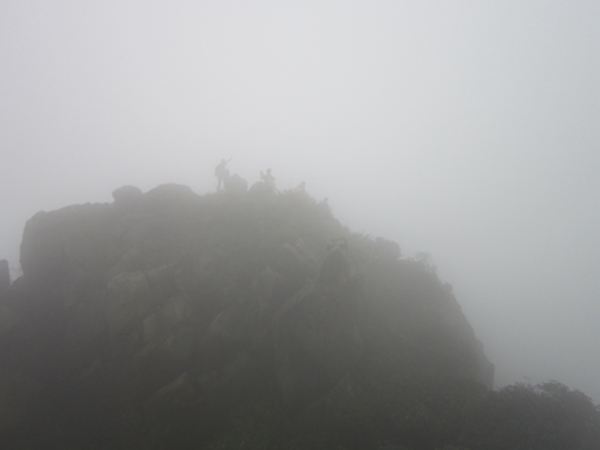 �����ƶ�����5