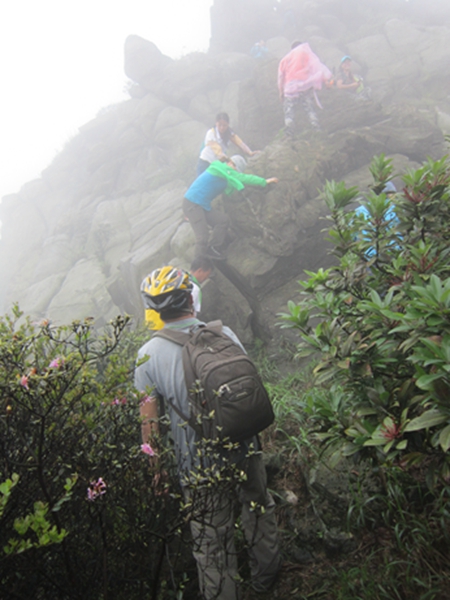 �����ƶ�����7