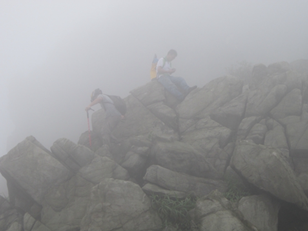 �����ƶ�����8