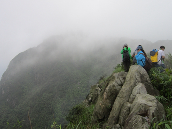 �����ƶ�����11