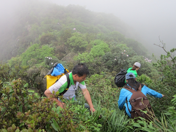 �����ƶ�����13