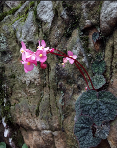 �ϴ� �ϱ����.png