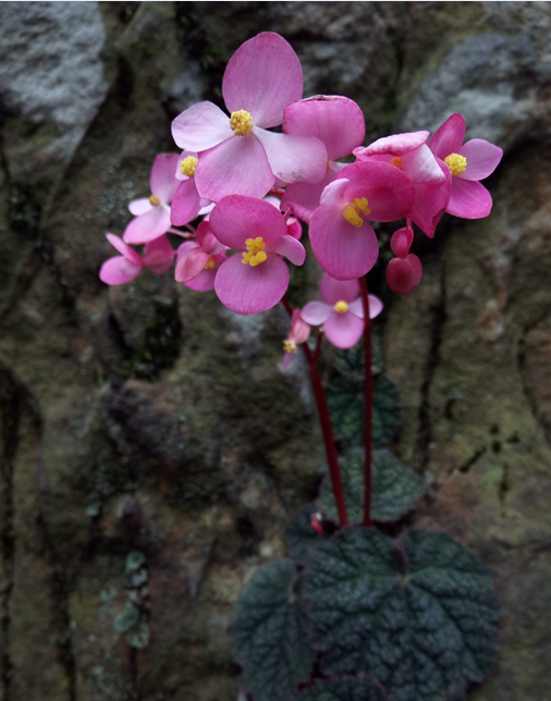 �ϴ� �ϱ����2.png