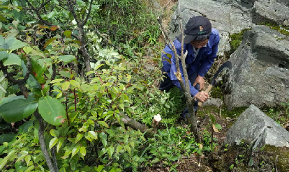 �������һֱ����ǰ��Ϊ���ǿ�·