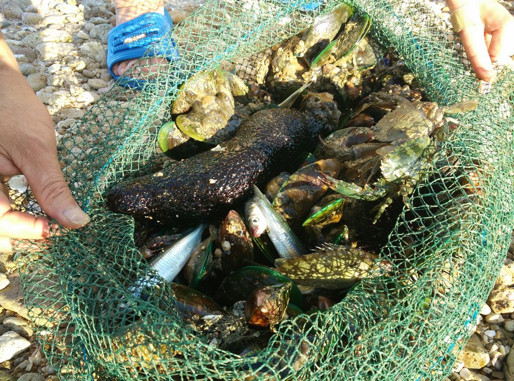 ����Ҳ����