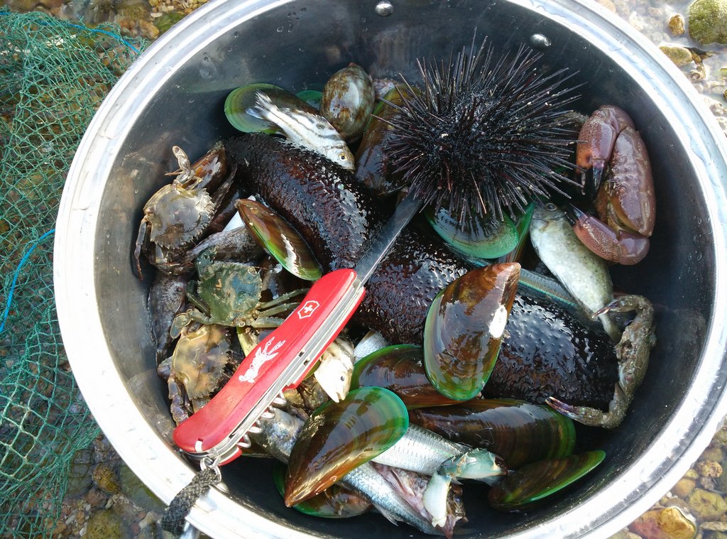 �ḻ�ĺ���