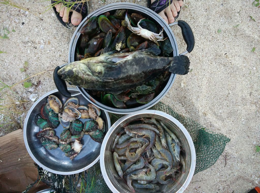 �ḻ�ĺ���