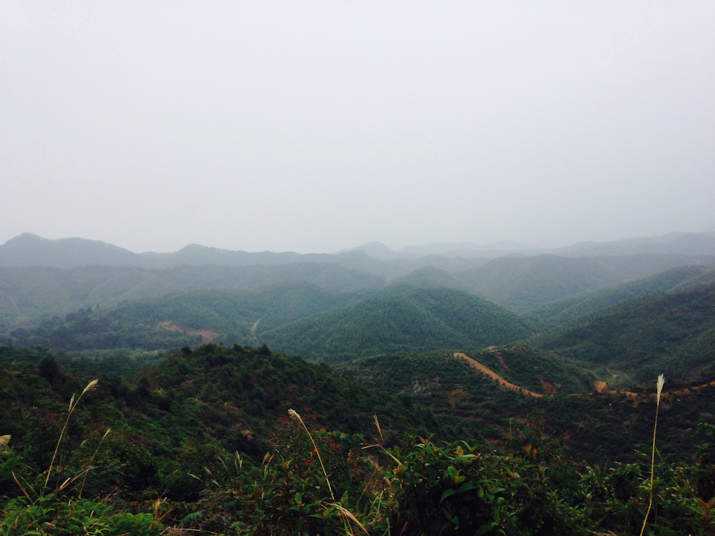 FullSizeRender 10.jpg