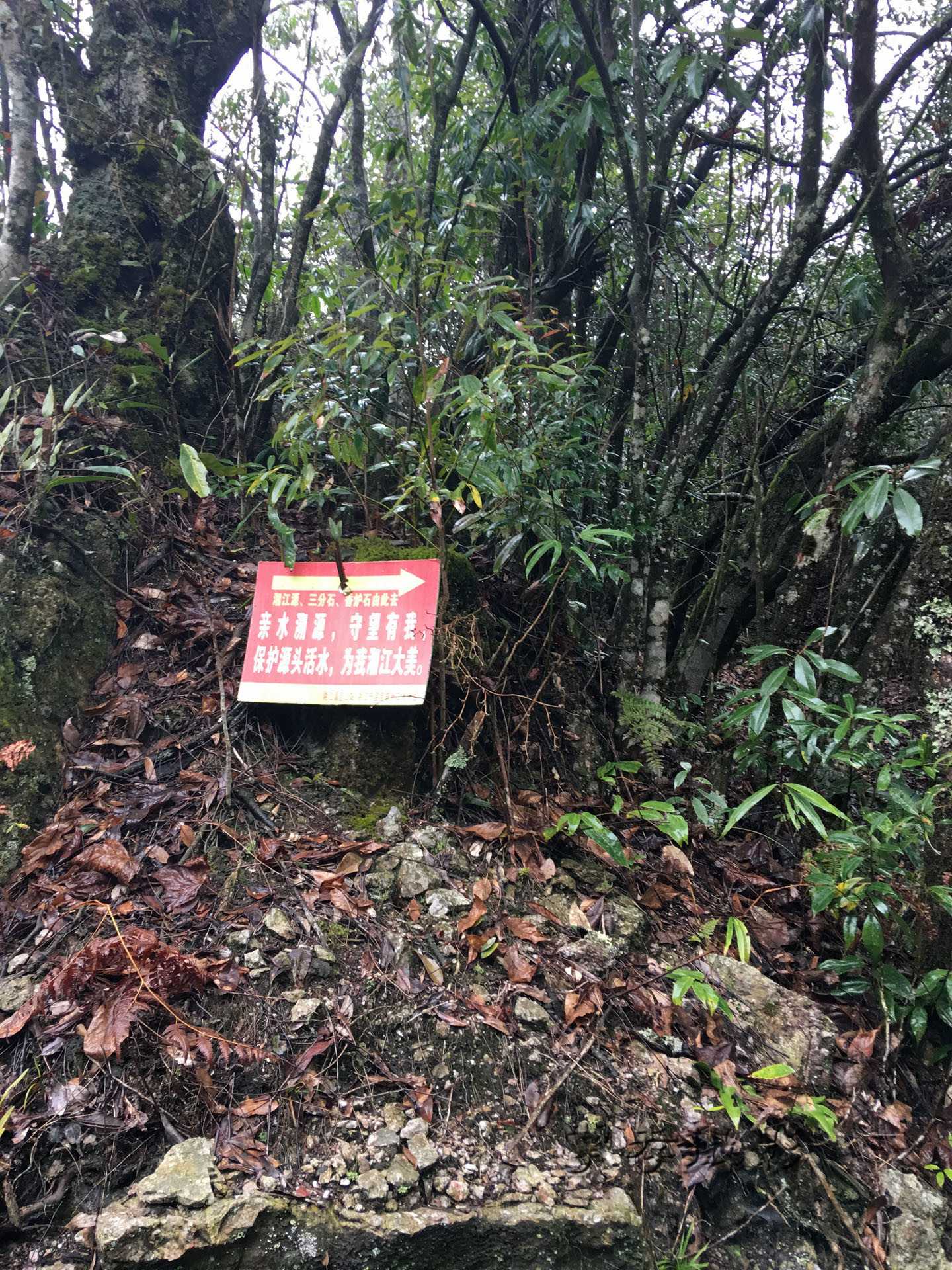 2017��Խ��������ʯ (31).jpg