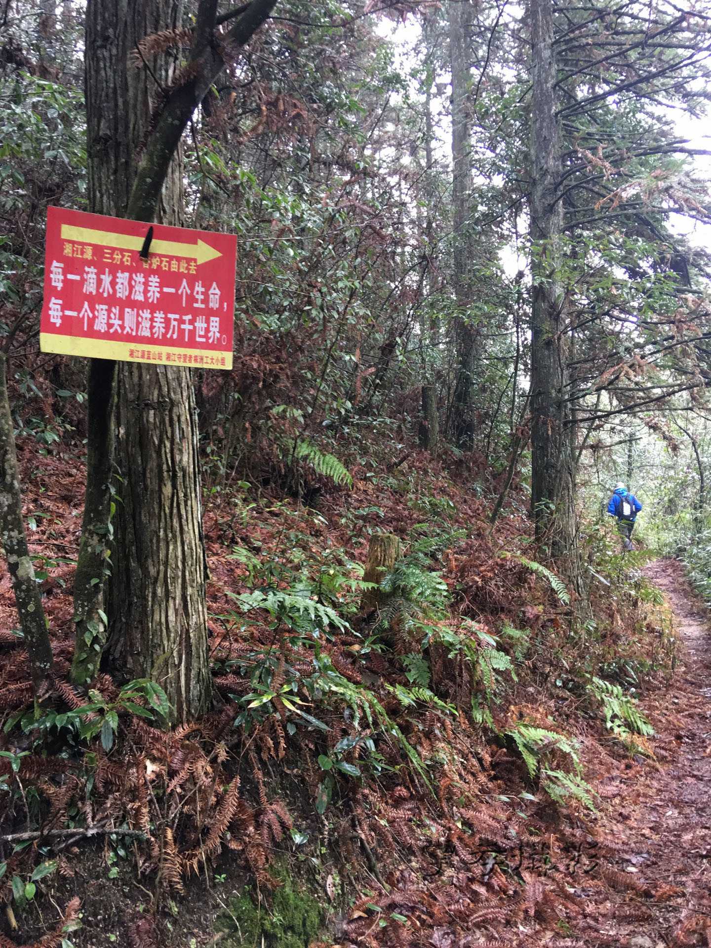 2017��Խ��������ʯ (32).jpg