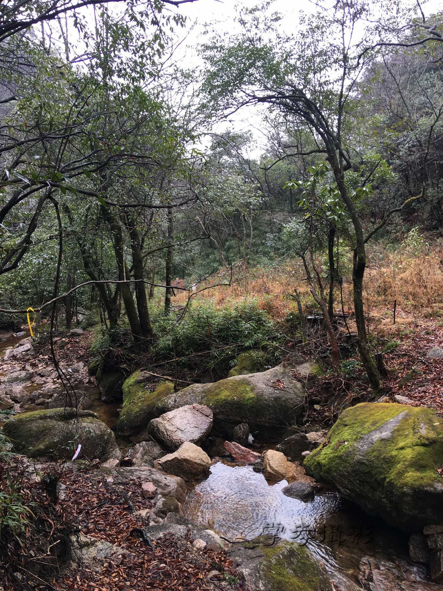 2017��Խ��������ʯ (35).jpg