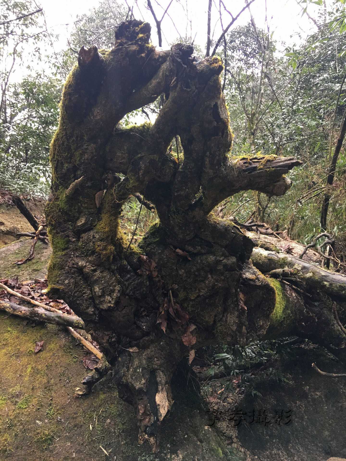 2017��Խ��������ʯ (34).jpg