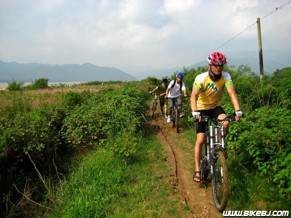 ��������Ţ�ı�������