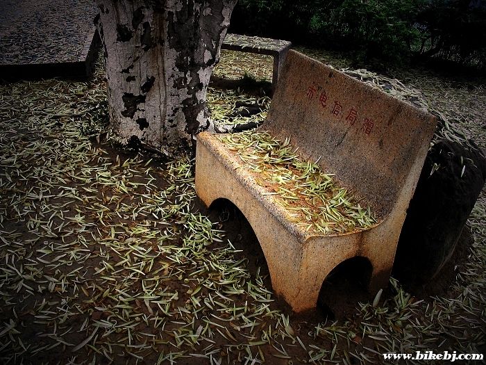 ��԰���� 006.jpg