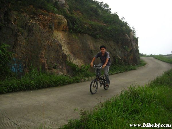 ţ�˰������Ŵ���SP8Ҳ�ɹ��Ƕ�