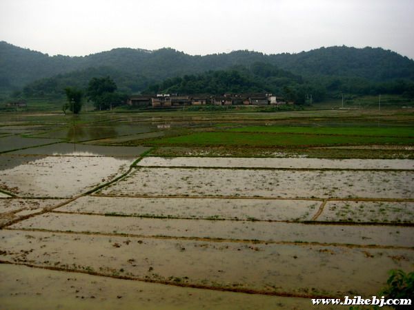 ·����������԰���