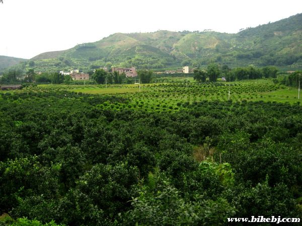 ǰ���Ŵ��䣬�洦���Լ���һ��Ƭһ��Ƭ�Ľ���԰