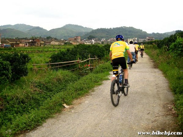 ��������Ŵ���