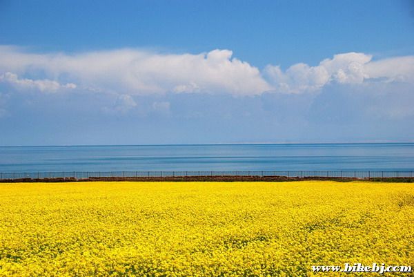 7�µ��ຣ�����