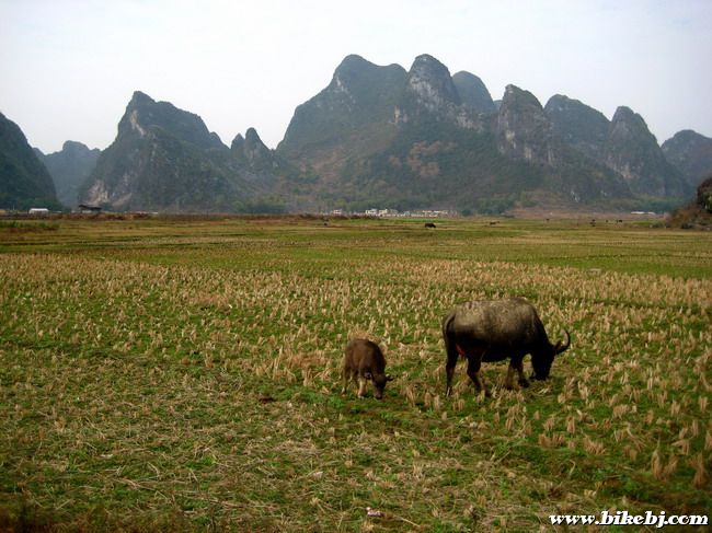 Ӣ������