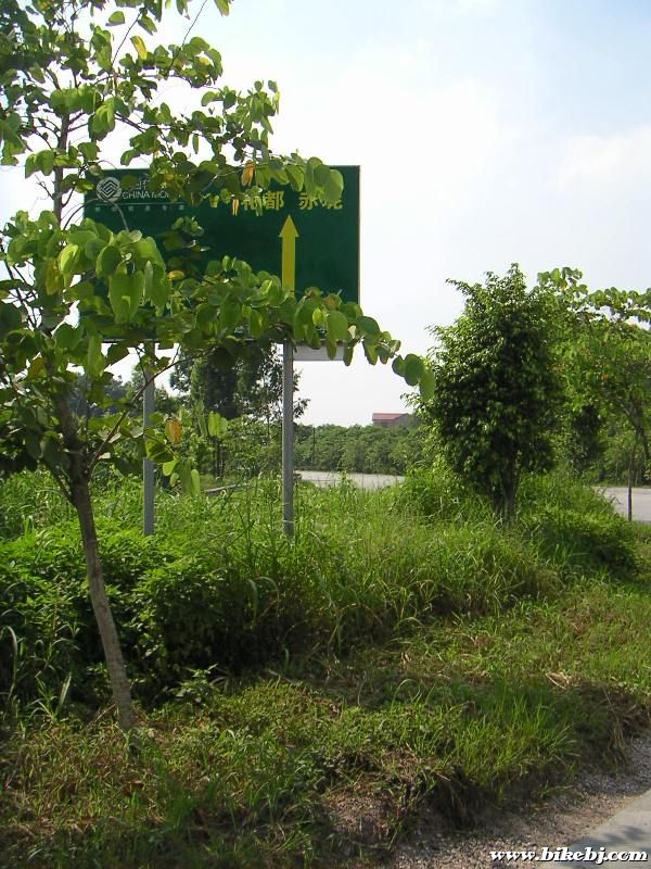 ֱ�У�ȥ���ֲ�·������·���ߣ���û���������������尡