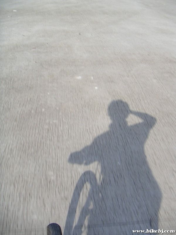 �ε�ֻӰ��������