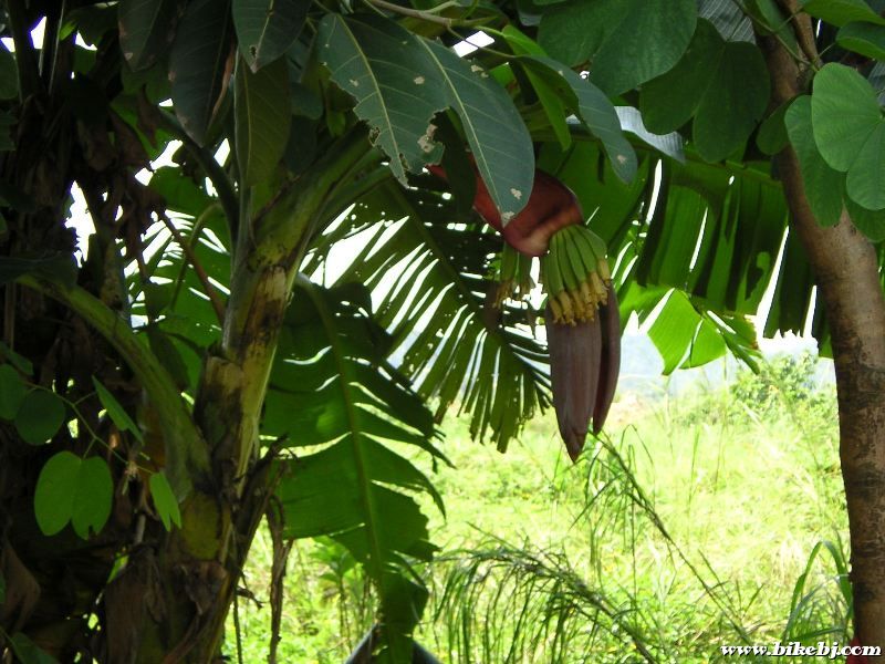 �㽶����ϧδ�죬�´���������Ե�