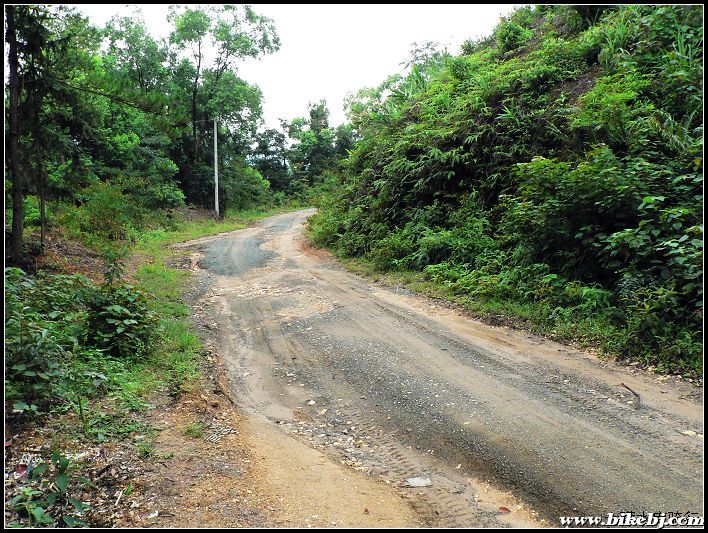 �Ҳ��·��ͨ������������������·