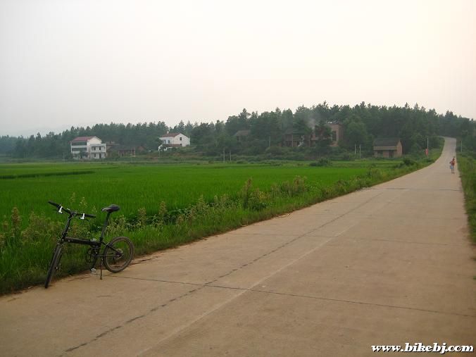 ����ǰ��