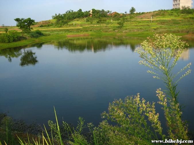 Сʱ�򾭳���Ӿ�ĳ�����ˮ��Ȼ����ô����