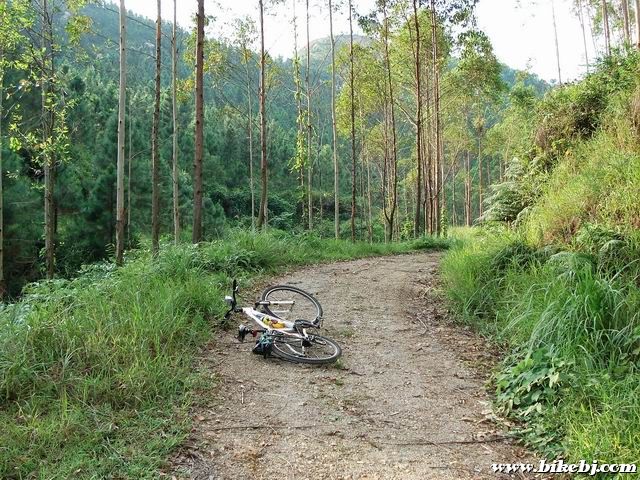 ������С DSC03878.JPG