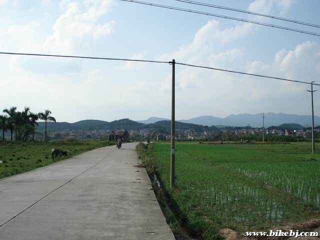 ������С DSC03857.JPG