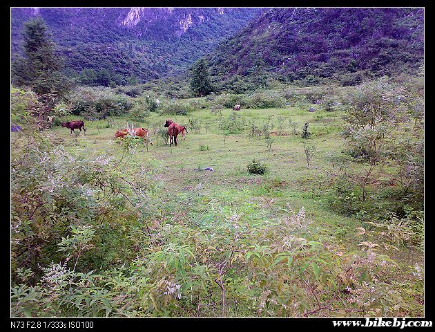 ����GPS��ʾ��Ŀ�ĵص��ˣ�����ɽ��ˮ��֮����ǰһ��Ƭƽ�أ�