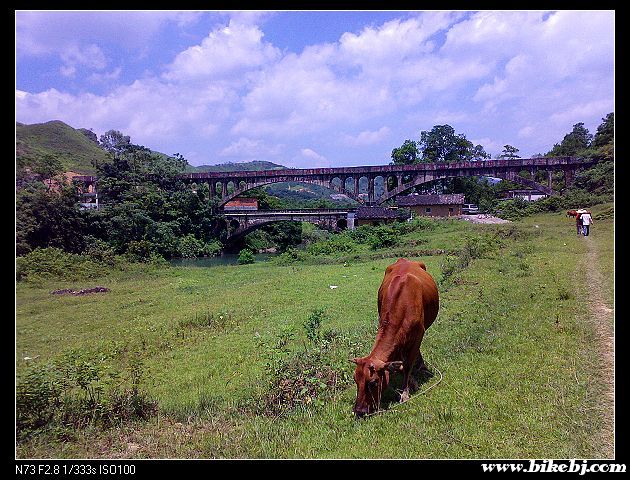 �Ѿ����˼�ʮ�꣬��ˮ���ϵĿں���Ȼ������