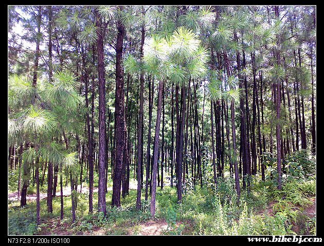 ���������֡�