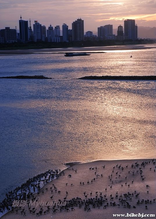 ���´��Ķ�Ⱥ