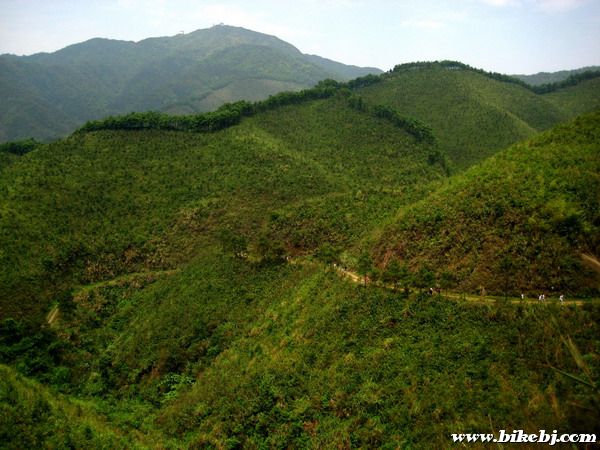 ����802�׵���ü��������ǰ