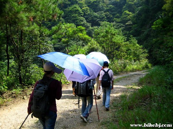 ��Σ������ش�·ǰ���ۿ�