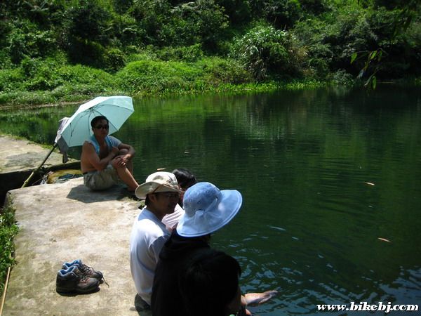 �����������������������