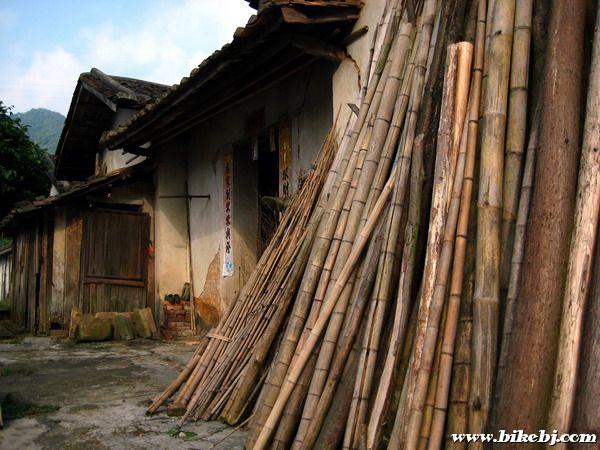 �����㡪����ü��