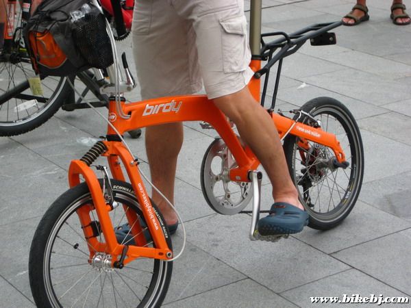 ��һ�ᣬ�ּ���һ���¿��ɫBIRDY