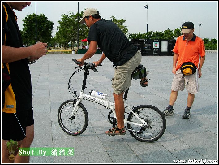 ACO�Ľݰ����۵���